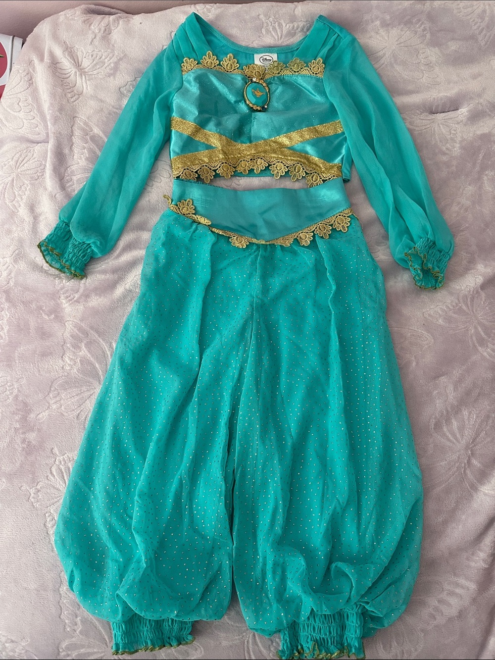 Disney Costumes: Princess Jasmin and Moana - Picture 4 of 5